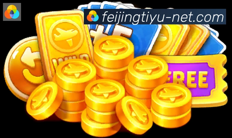 未来规划